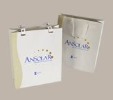 Impresion offset a 2 colores, laminado con tratamiento corona sectorizado UV en logo. Terminacion de ojalillos ovalados y redondos.